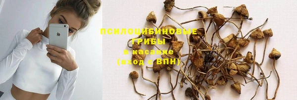 бутират Лагань