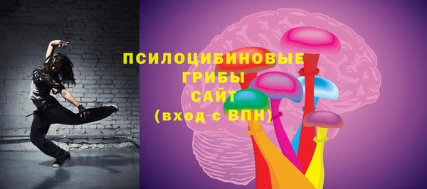 эйфоретик Кукмор