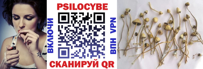 Псилоцибиновые грибы Psilocybine cubensis  Малгобек 