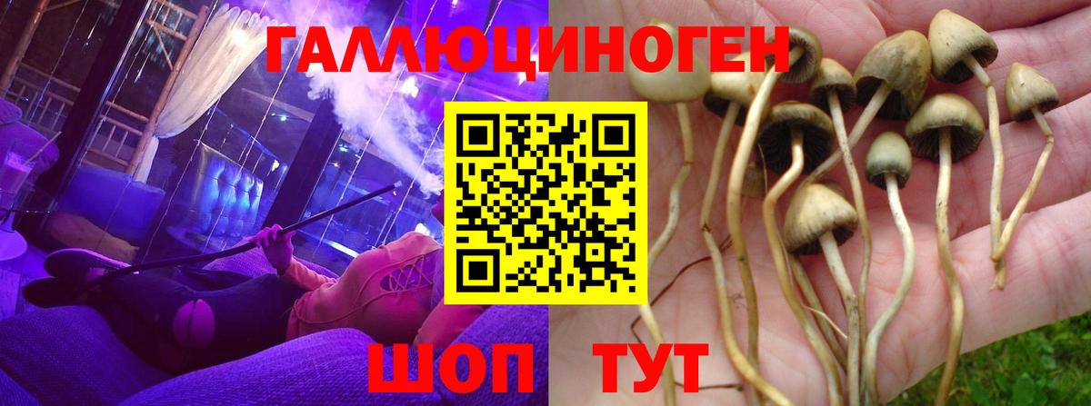 Псилоцибиновые грибы мухоморы Малгобек