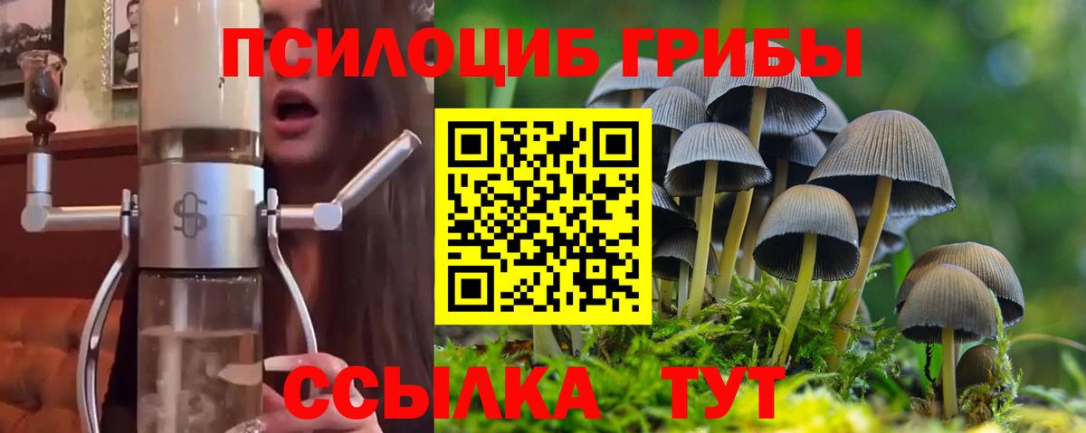 Малгобек  Псилоцибиновые грибы Cubensis  Вход с VPN  Галлюциногенные грибы мухоморы 