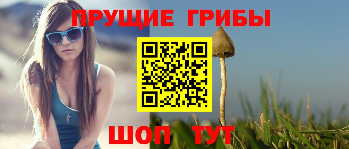 Галлюциногенные грибы Cubensis Малгобек